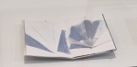 20250329_153016_edited.jpg
